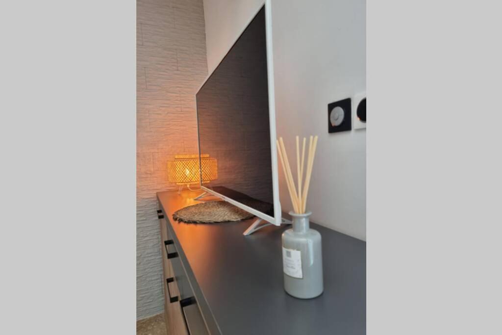 Bel appartement avec terrasse, piscine ! Saint-Gilles Les Bains Extérieur photo
